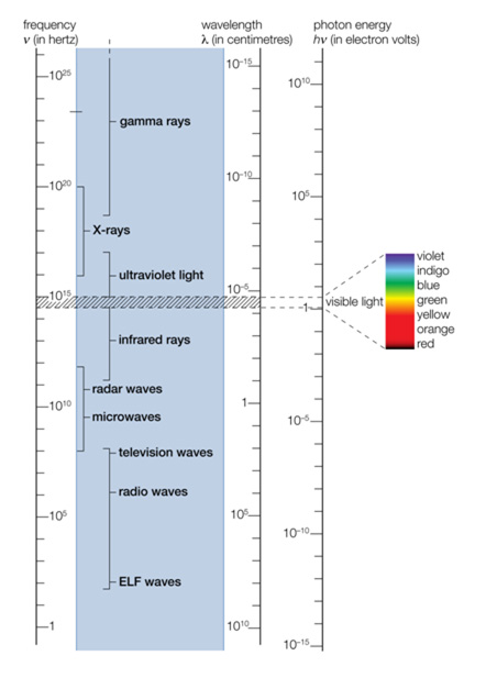 the_electro_magnetic_fig2